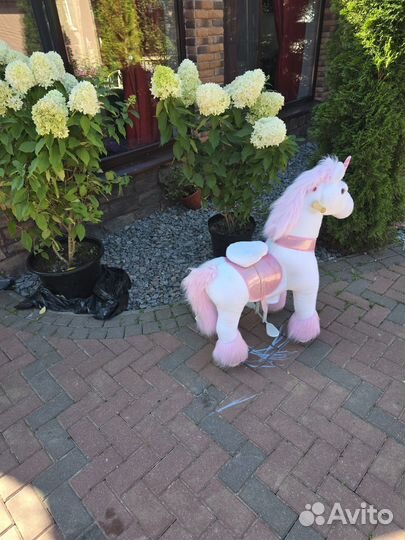 Pony sicle