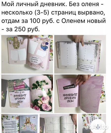 Блокноты, тетради, ежедневники, репетиторы