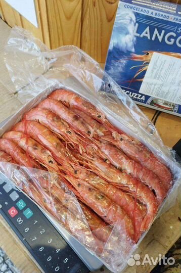 Лангустины L1. Креветка крупная