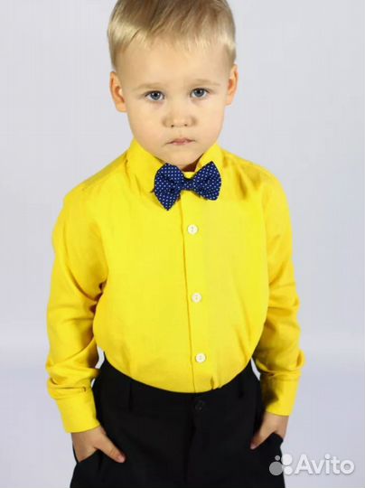 Нарядная рубашка для мальчика Стиляги