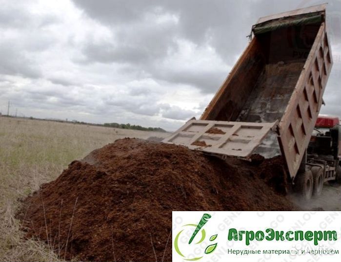 Плодородный чернозем