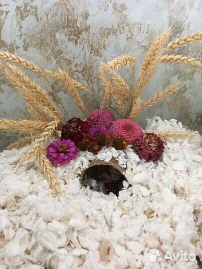 Клетка для хомяка