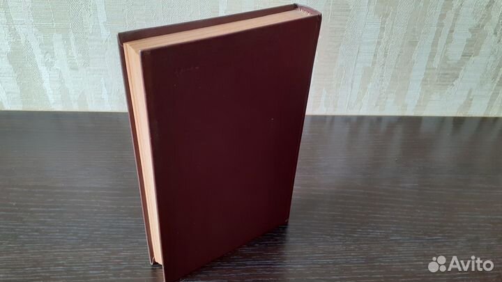 Салтыков-Щедрин «История одного города», 1984 г