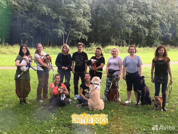 Кинолог: дрессировка, воспитание и коррекция