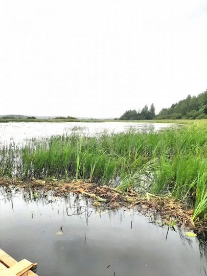 Участок 4 га (СНТ, ДНП)