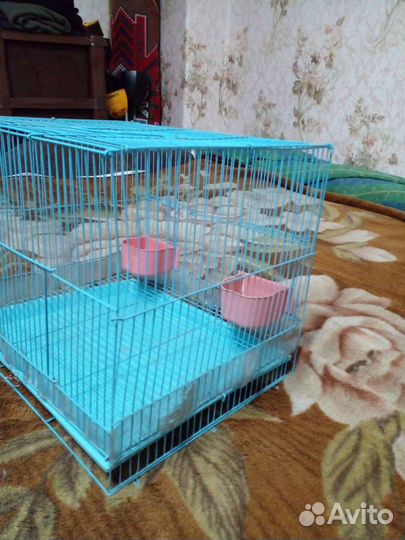 Клетка для птиц