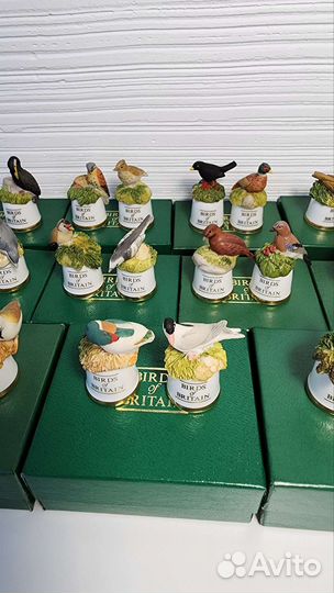 Наперсток коллекционный Англия Птицы Британии