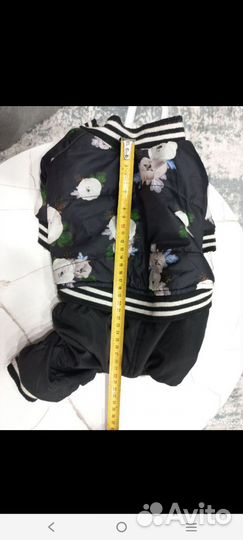 Одежда для собак