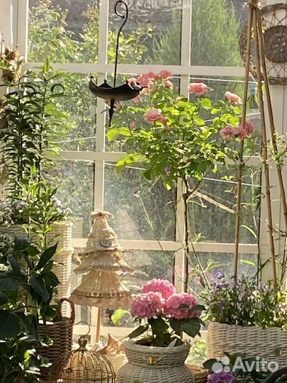 Кашпо из ротанга