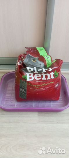 Набор для кошки