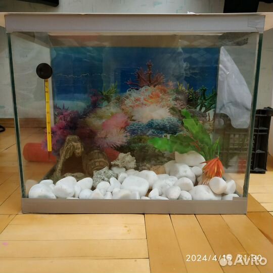 Аквариум 20 литров