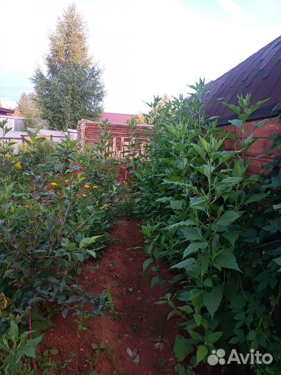 Баня бочка бу