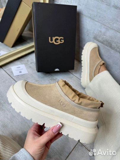 Угги UGG женские Tasman Weather Hybrid