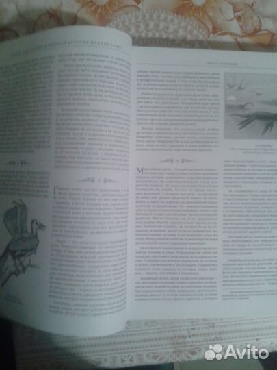 Герберт Уэллс. Всеобщая история мировой цивилизаци