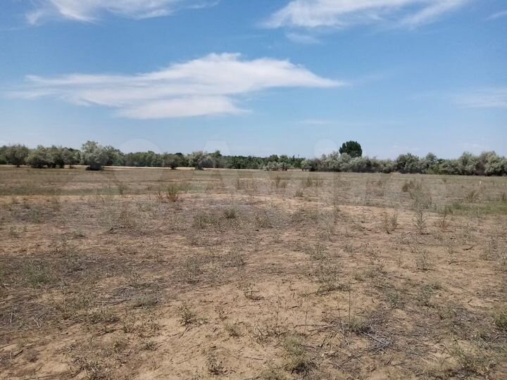 Участок 8 сот. (ИЖС)