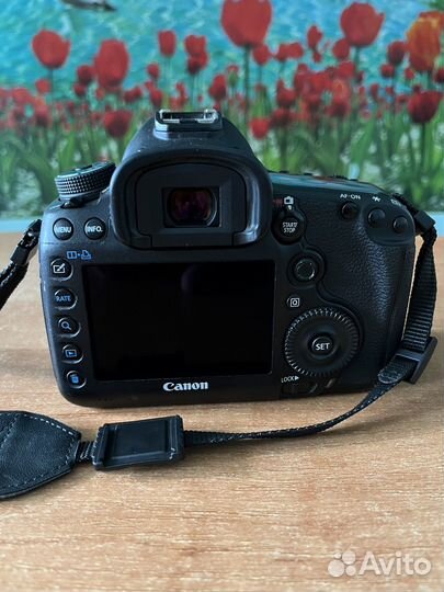 Canon 5D mark iii body