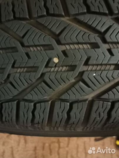 Tigar Winter 205/55 R16 94H