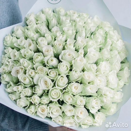 101 белая роза