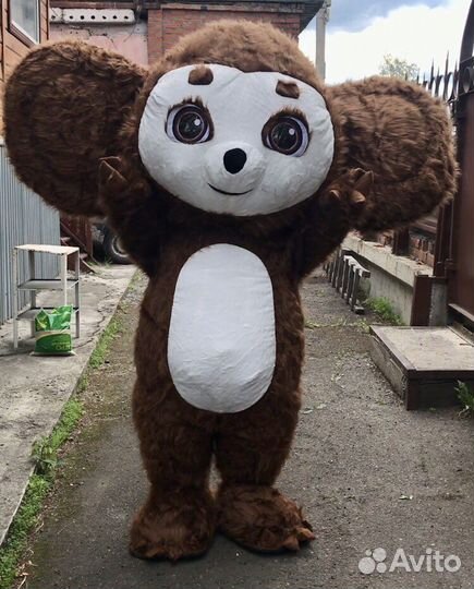 Аниматор на детский праздник