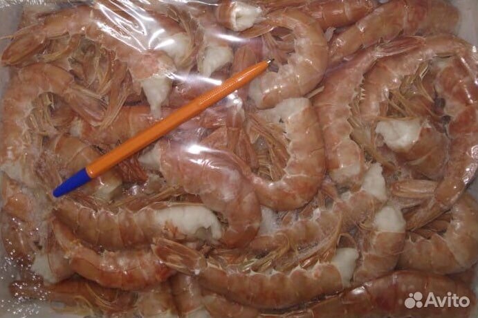 Лангустины С0 самые крупные