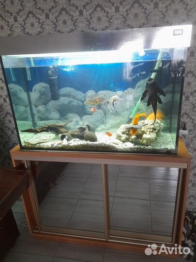 Аквариум с рыбками