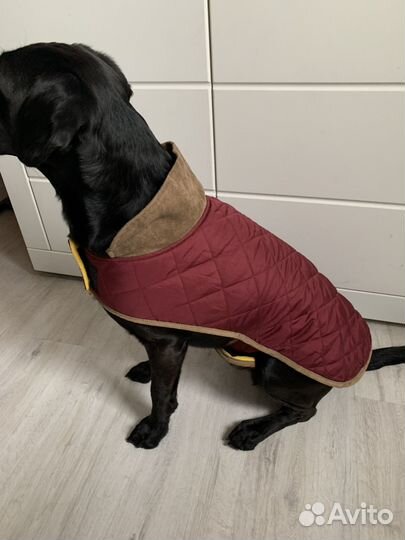 Попона утепленная для средних собак