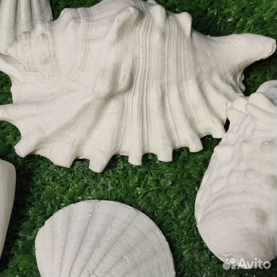 Декор из гипса Ракушки (36 шт)