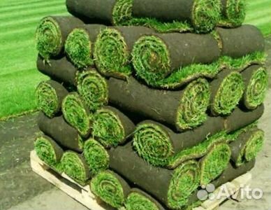 Газон от производителя