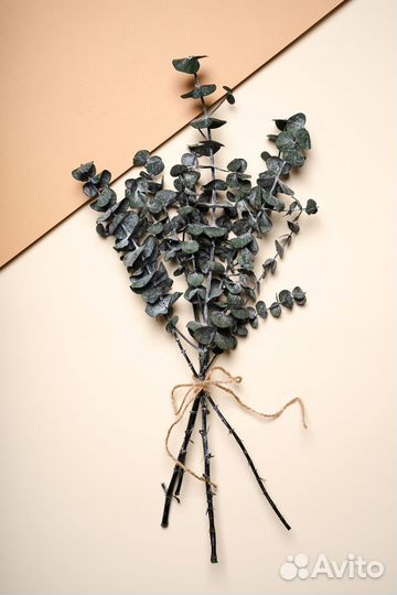 Эвкалипт стабилизированный бэби блю оптом, пачки