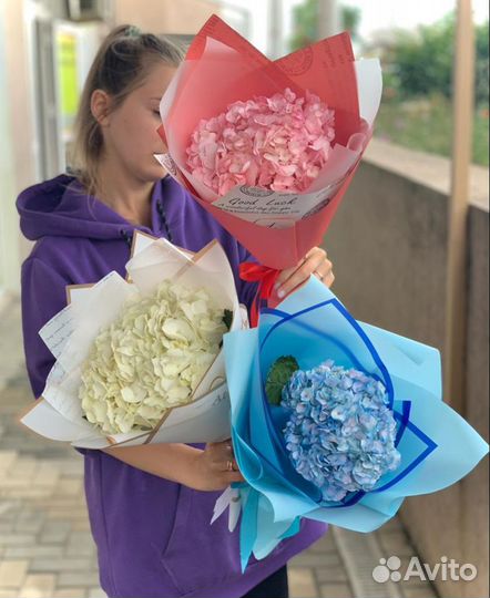 Букет: «Гортензия в оформлении»