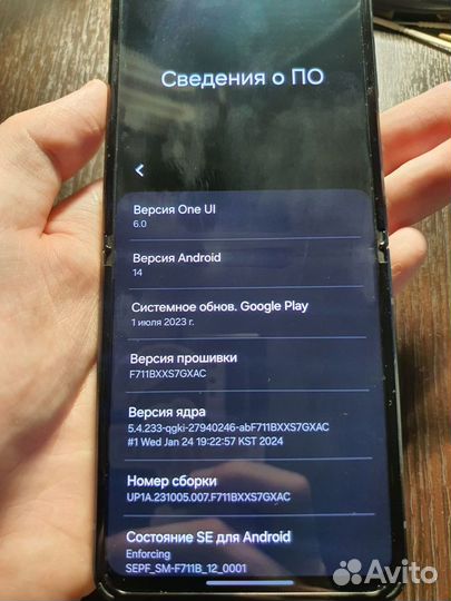 Samsung Galaxy Z Flip3 5G, LDU Demo