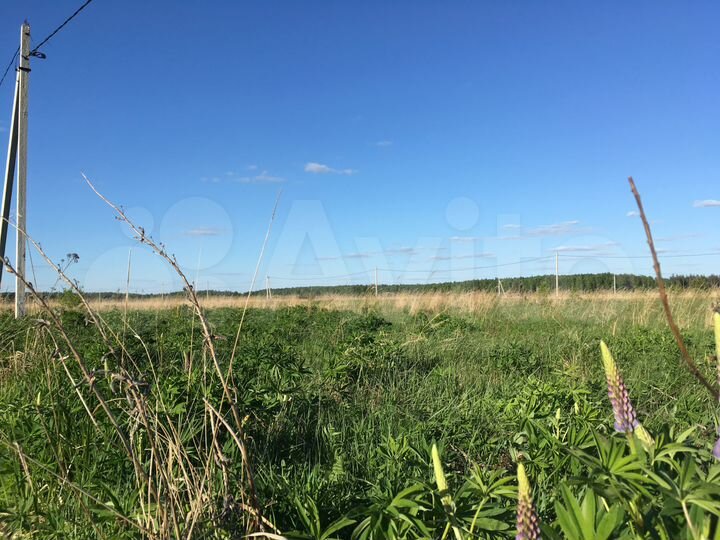 Участок 10 сот. (ИЖС)