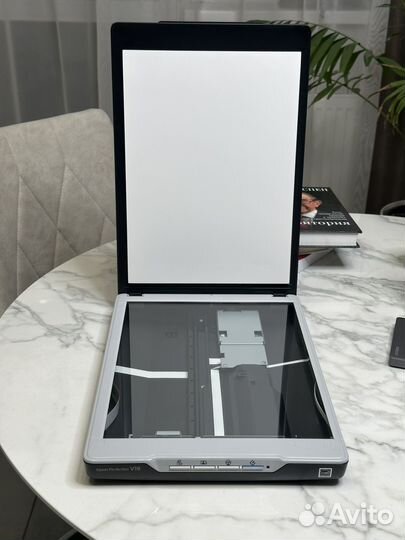 Сканер Epson Perfection V19