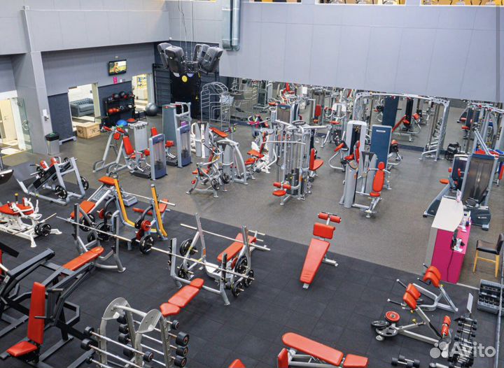 Фитнес практика Динамо абонементы