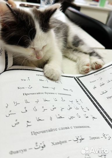 Обучение чтению Корана