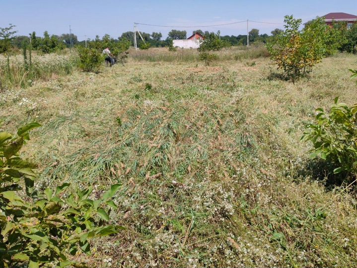 Участок 8 сот. (ИЖС)