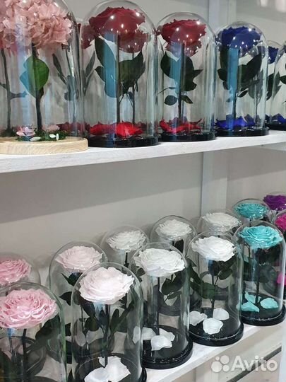 Вечная Роза в колбе красная в ассортименте