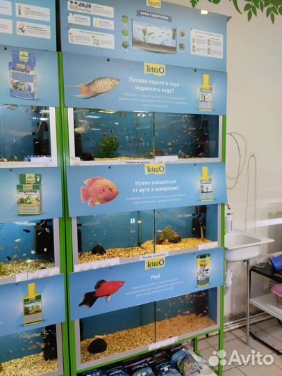 Стойки с аквариумами для продажи рыбок