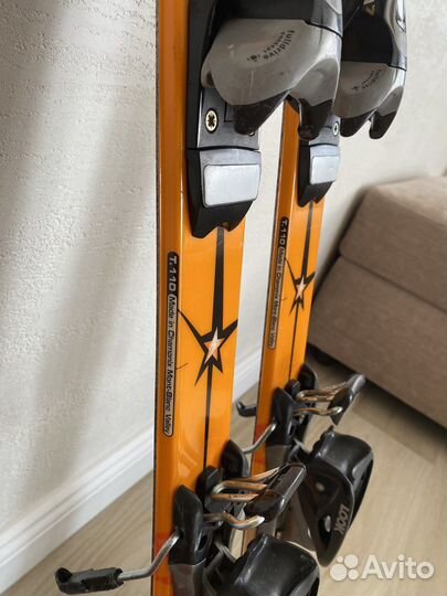 Горные лыжи