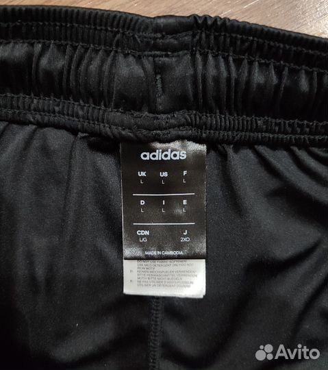 Шорты Adidas