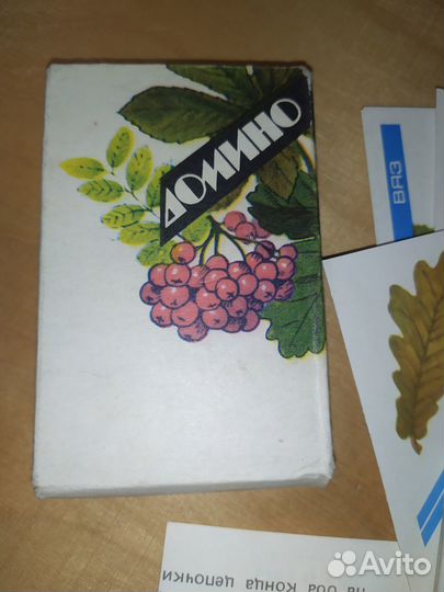 Ботаническое домино кцп 1991