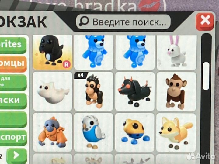 Петы адопт ми