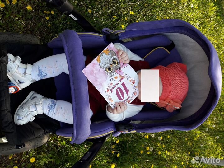 Коляска зима и лето