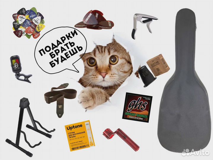 Акустическая гитара (Комплект)