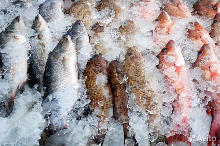 Франшиза рыбного магазина: проверенный путь