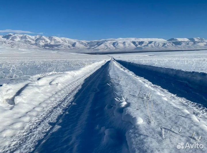 На Алтай зимний тур поездка 5-9 дн