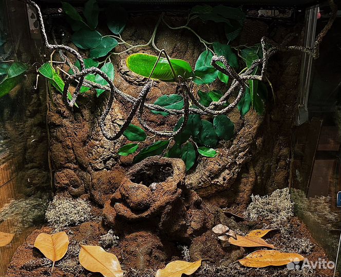 Террариум на заказ