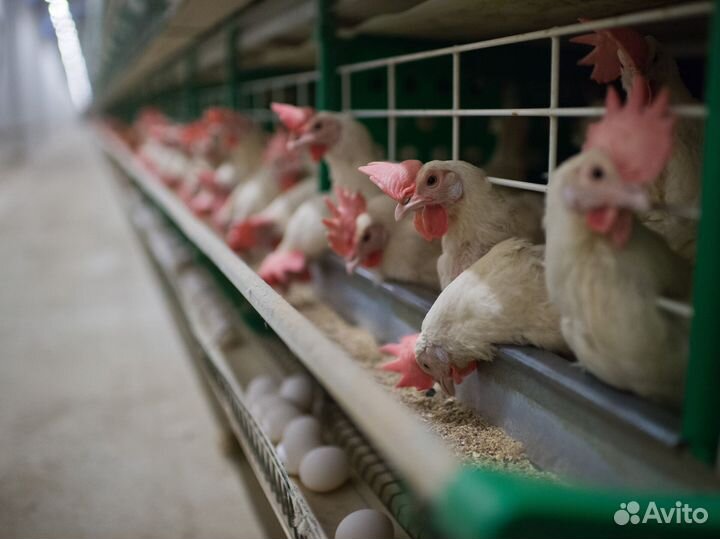 Подсобный рабочий