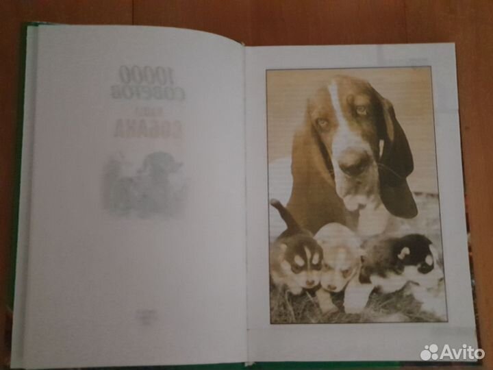 Книга по уходу за собаками