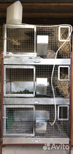 Клетка для кроликов